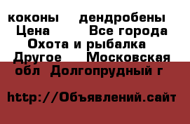 коконы    дендробены › Цена ­ 25 - Все города Охота и рыбалка » Другое   . Московская обл.,Долгопрудный г.